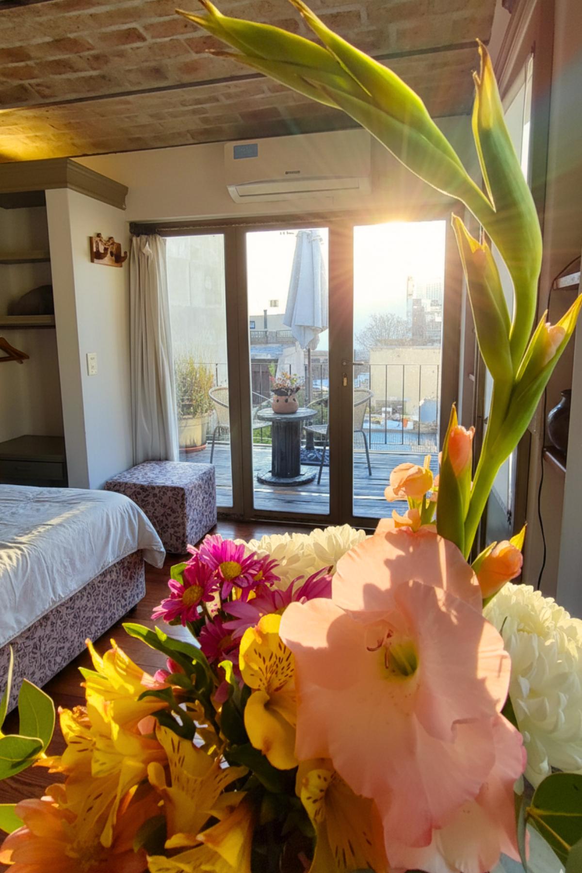 MINI CARRUSEL INICIO (1)